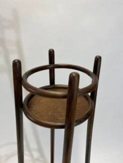 Supports à fleurs par Thonet No.908