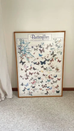 Tableau affiche butterfly italy