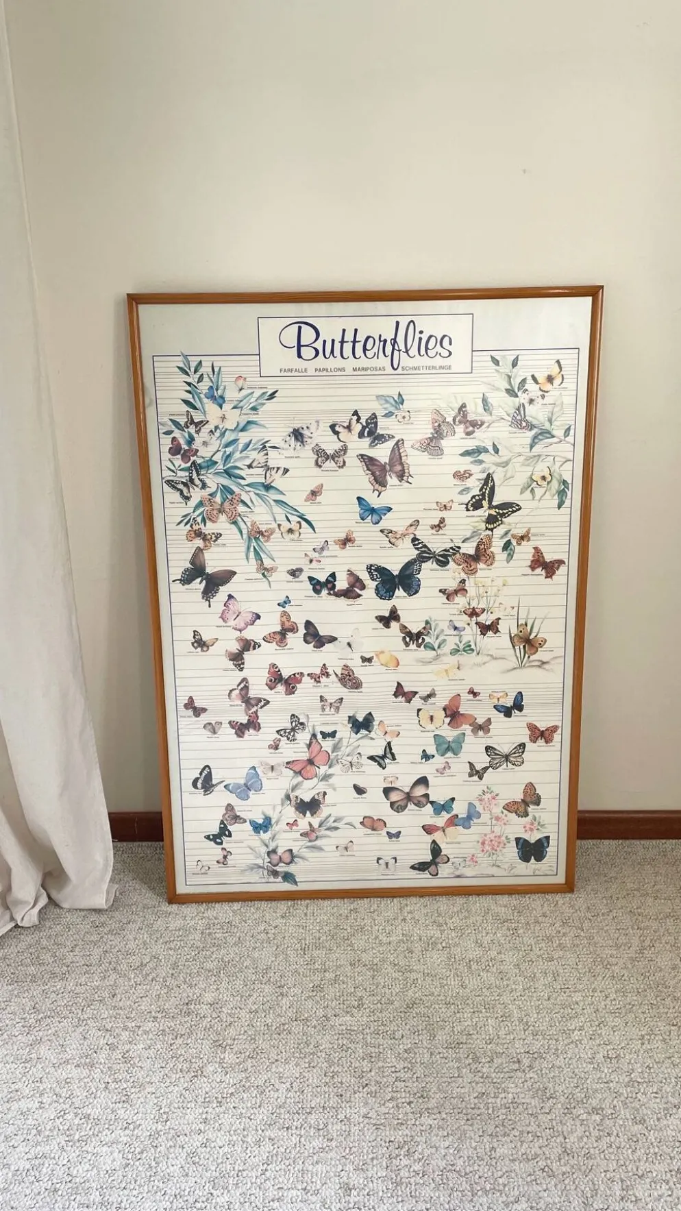 Tableau affiche butterfly italy