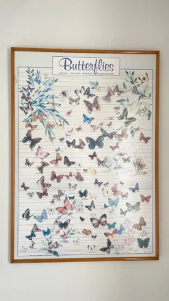 Tableau affiche butterfly italy