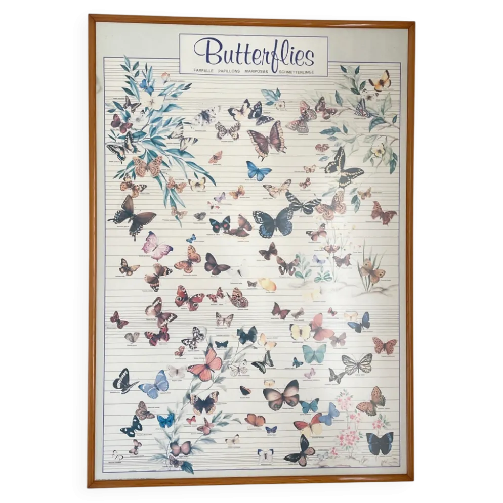 Tableau affiche butterfly italy