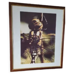 Tableau photo vintage Libellule