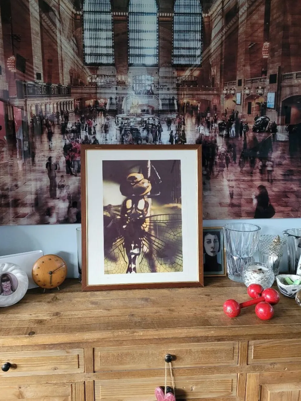 Tableau photo vintage Libellule