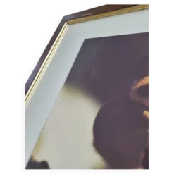 Tableau photo vintage Libellule