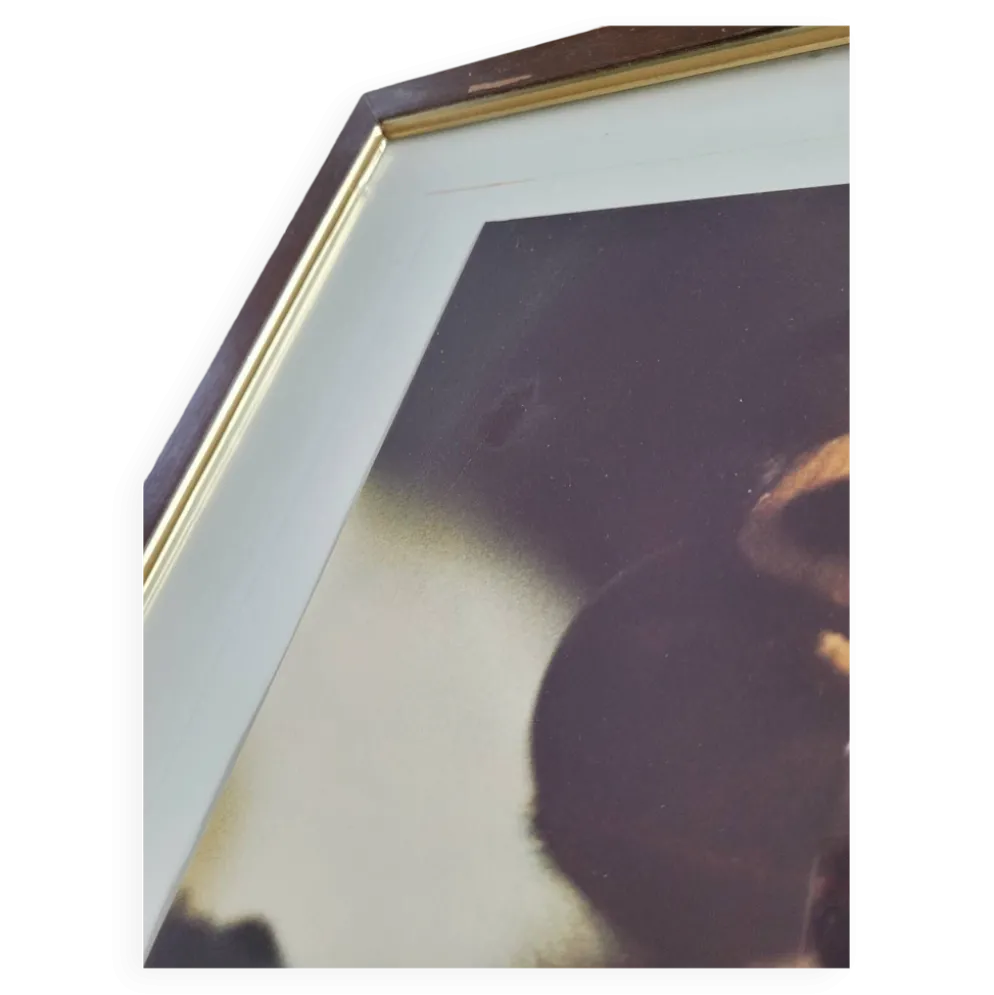 Tableau photo vintage Libellule