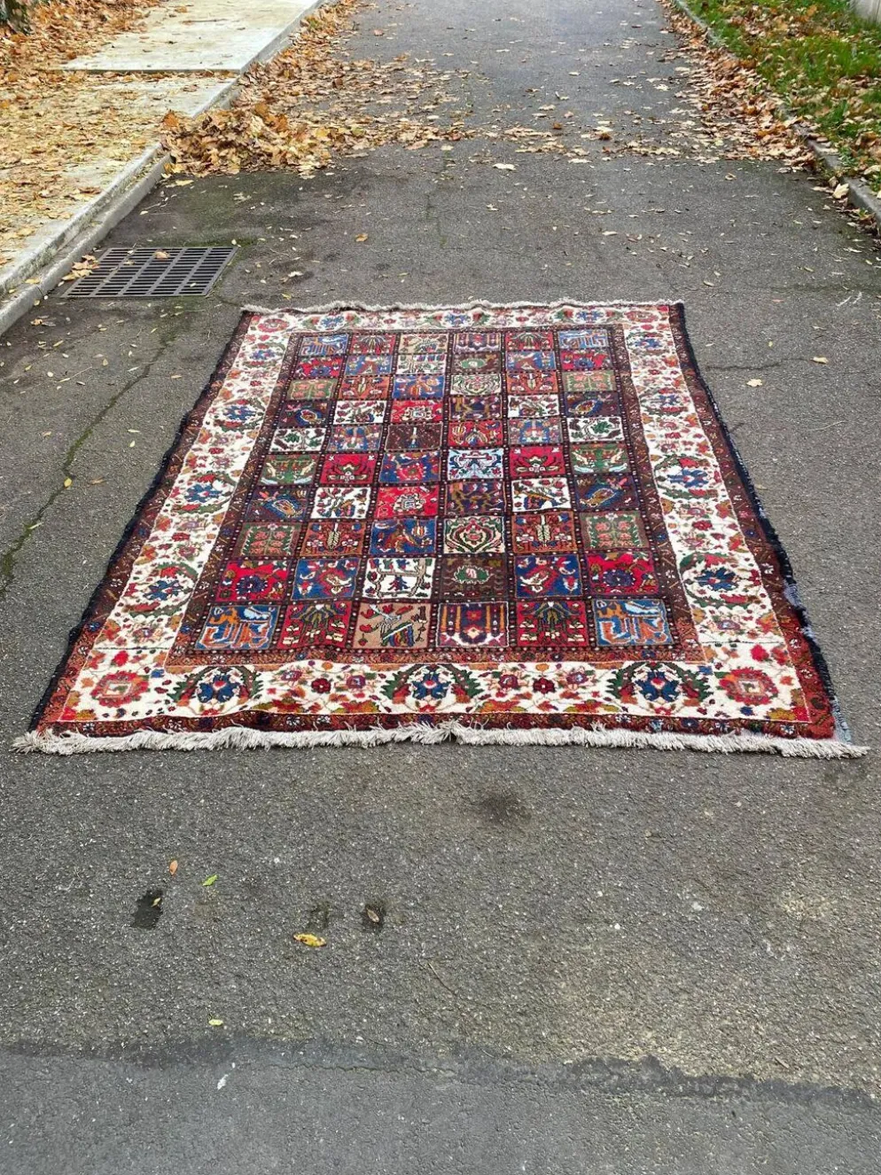 Tapis bakhtiar d'Iran en laine nouée fait main bordeaux 200x300cm