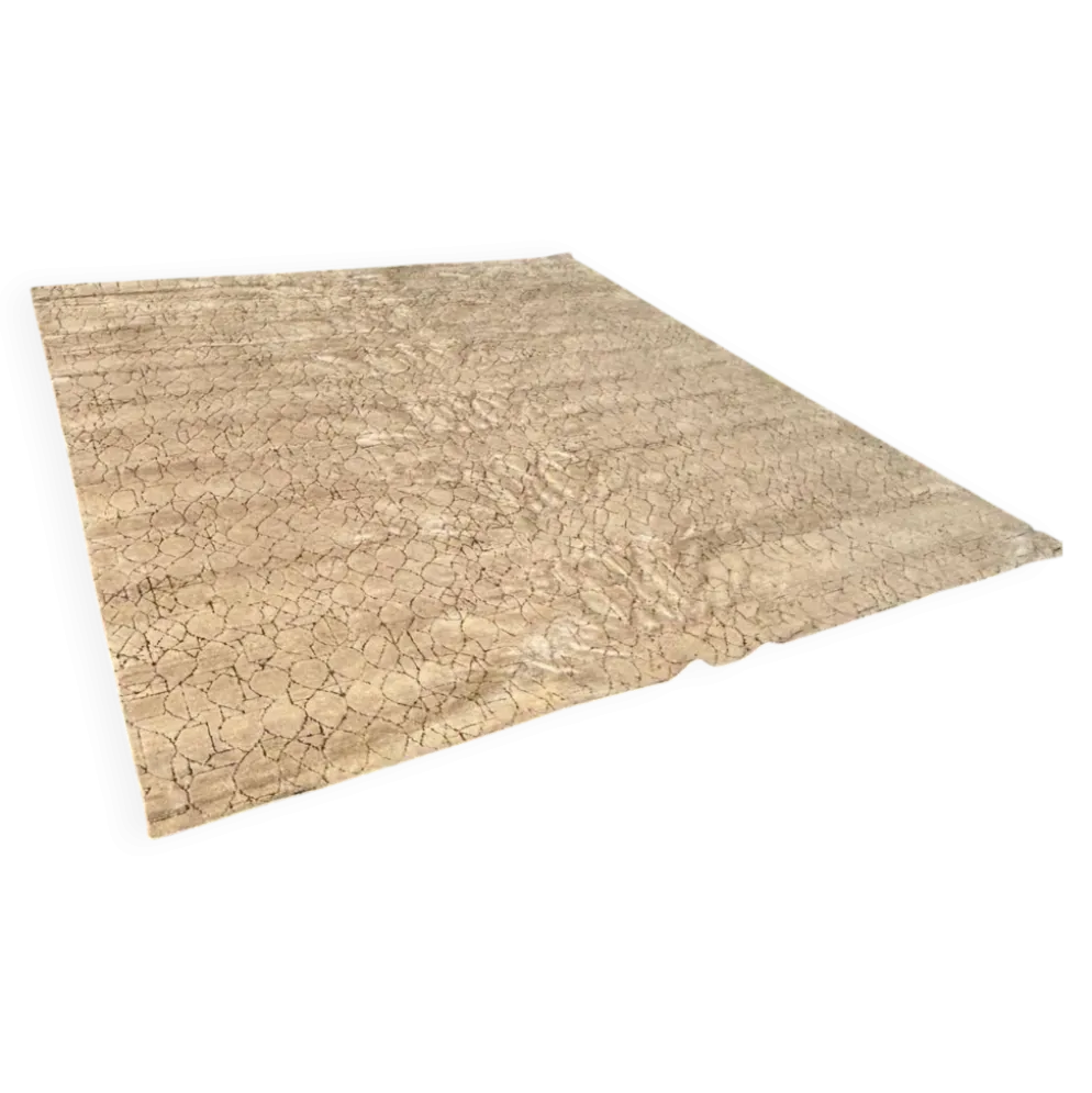 Tapis Barbes, Warly