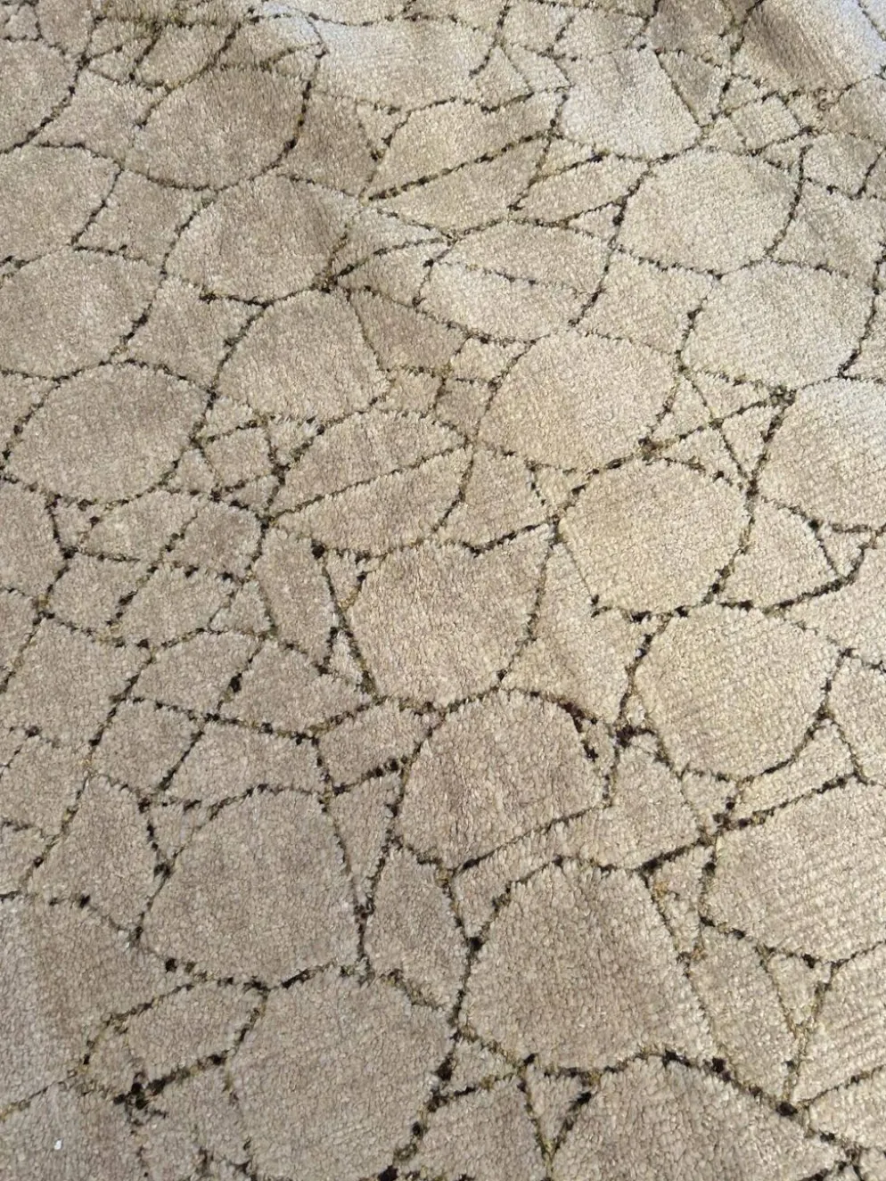 Tapis Barbes, Warly