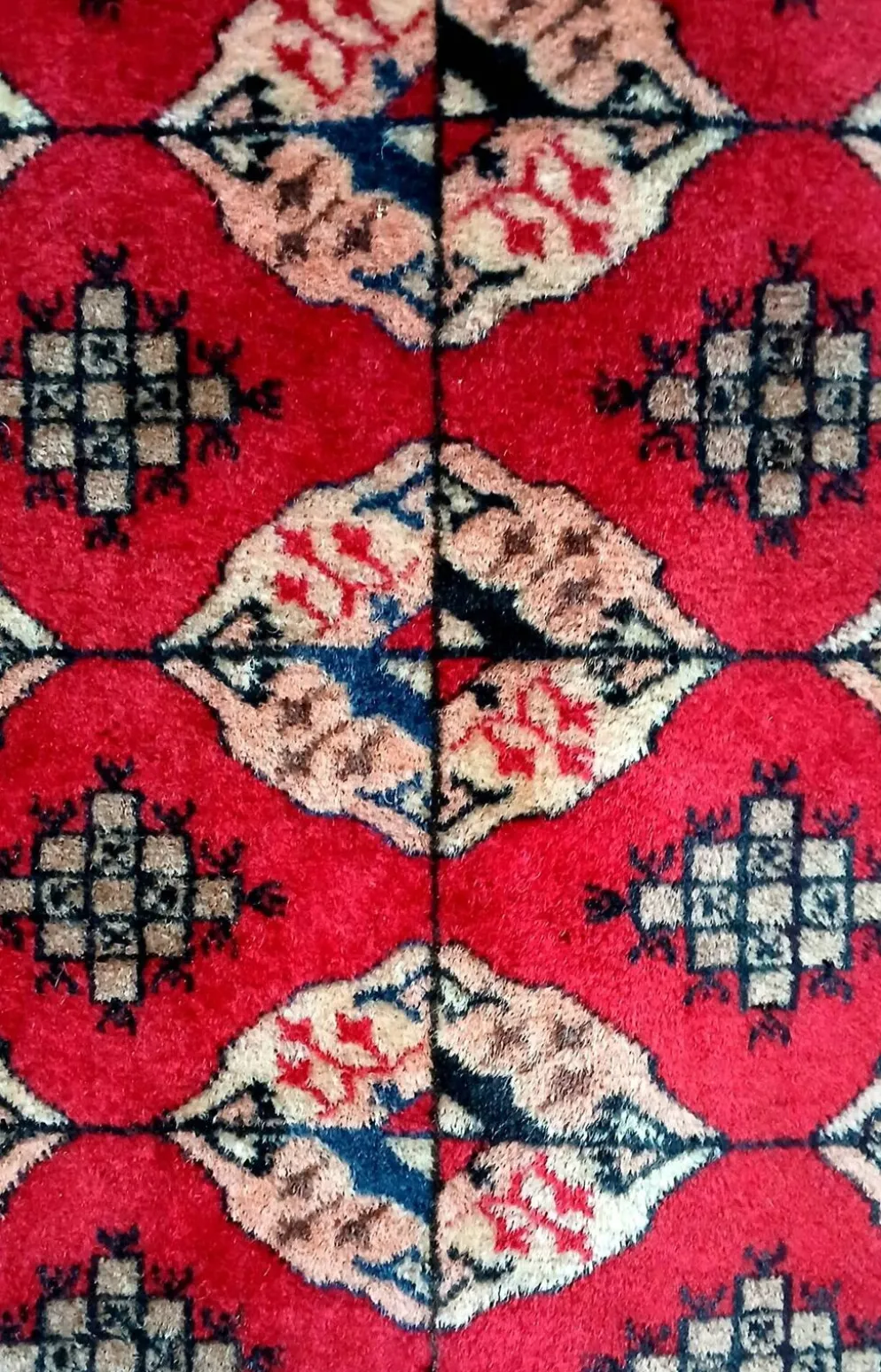 Tapis Boukhara Turkmène traditionnel noué à la main. Asie centrale
