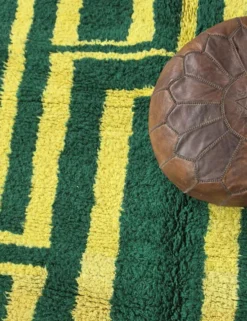 Tapis Contemporain vert - 292 x 255 cm