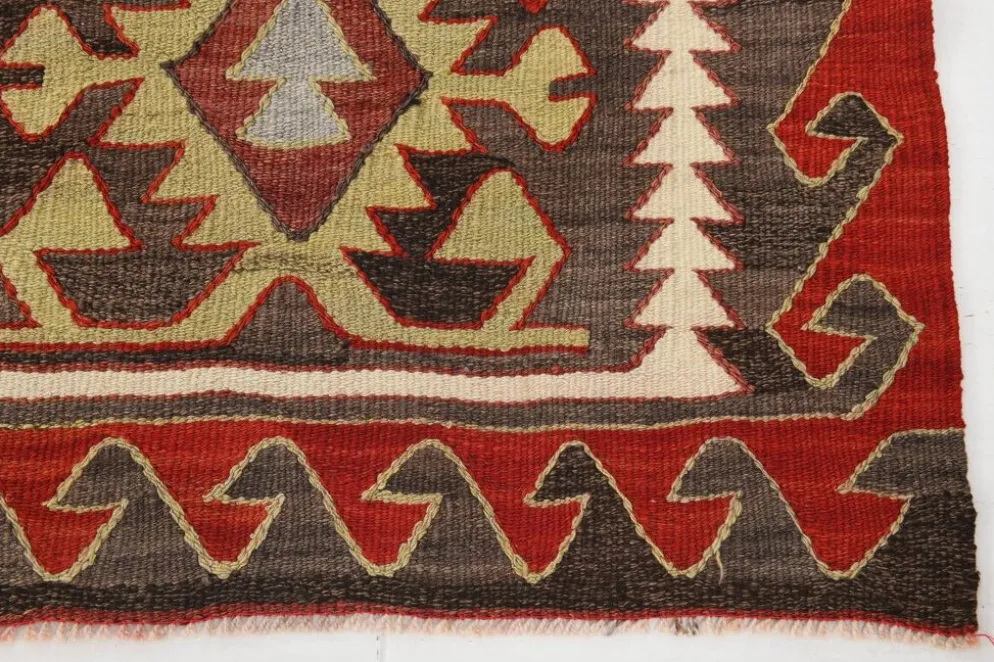 Tapis Kilim de style rare 5x10, tapis de salon 163x309 cm