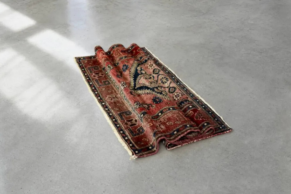 Tapis oriental Hamadan Kamse tissé à la main vintage du Moyen-Orient, années 1960.