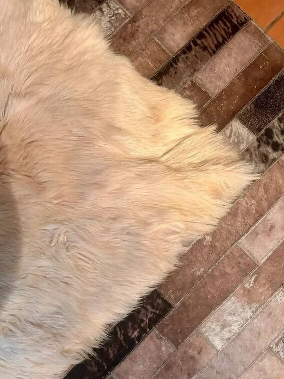 Tapis peau de bête