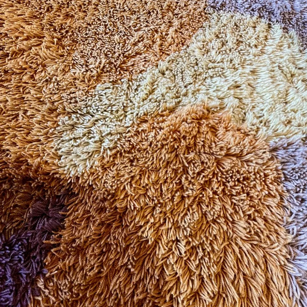 Tapis shaggy seventies Desso 150x220cm