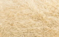 Tapis Tulu Turc Vintage en Laine Beige Poils Longs 200 x 162 cm