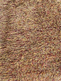 Tapis vintage Shaggy