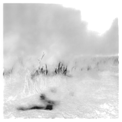 Tirage photographique numeroté par Antonin Ward