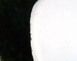 Transat chaise longue de Charles Zublena en fibre de verre, années 60