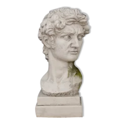 Tête David en plâtre plein petite série N°27