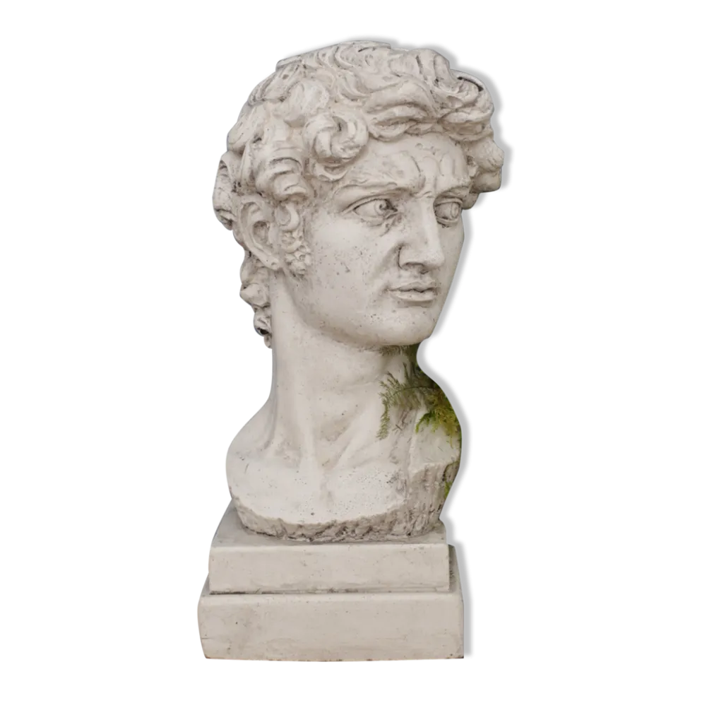 Tête David en plâtre plein petite série N°27