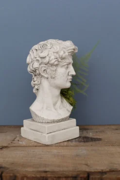 Tête David en plâtre plein petite série N°27