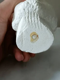 Tête d'homme en plâtre