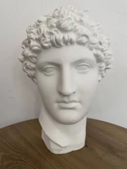 Tête grecque en plâtre blanc