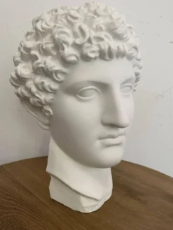 Tête grecque en plâtre blanc