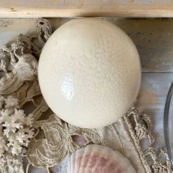 Œuf d'autruche esprit cabinet de curiosité