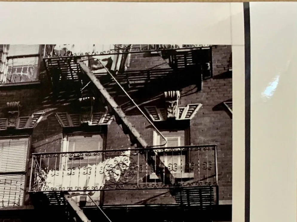 Un regard suspendu Escalier de secours d'appartements New York City – 1953