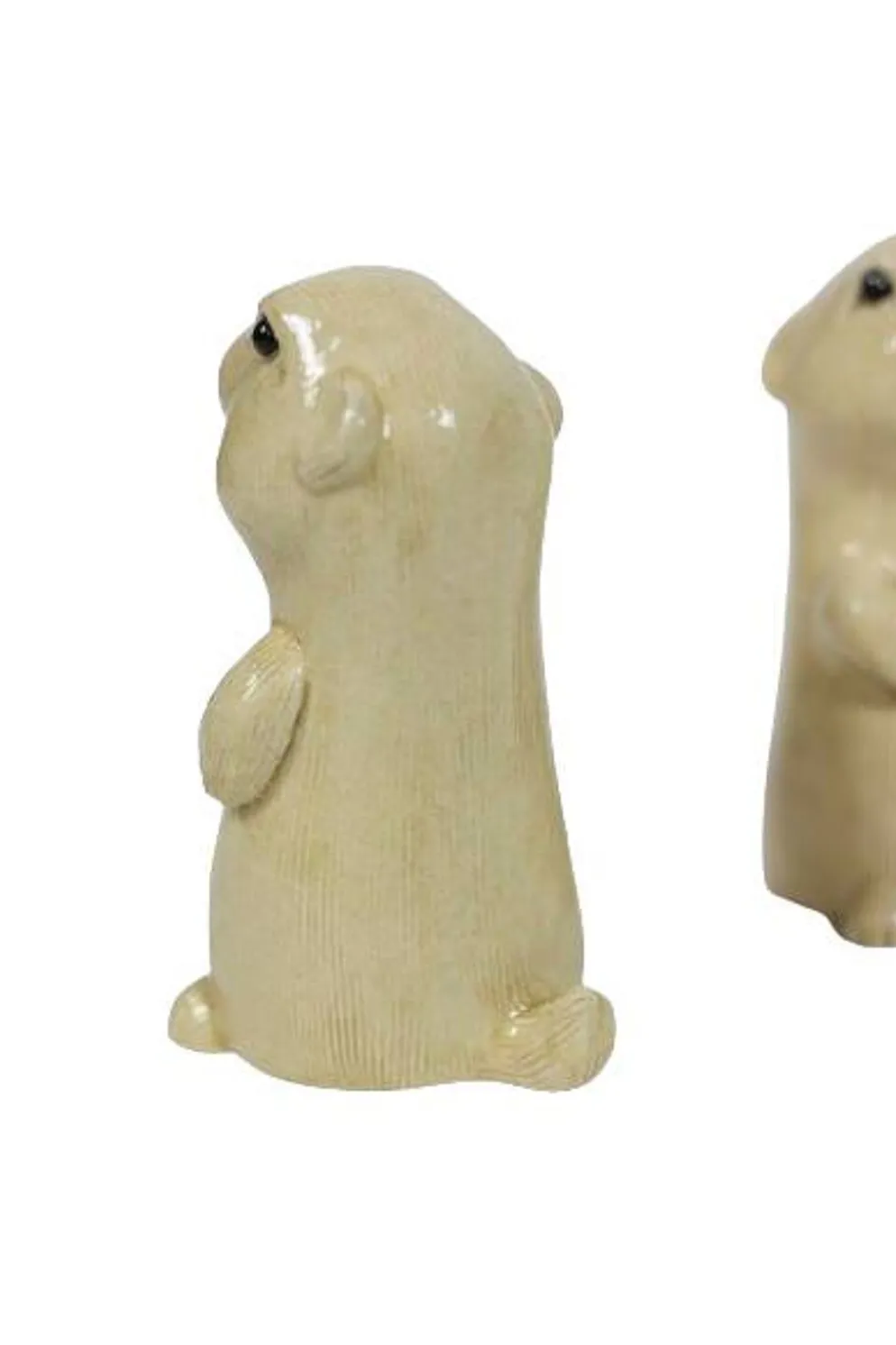 Valérie Courtet. Chien de prairie. Travail contemporain.
