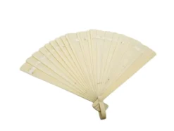 Éventail en celluloïd polonais Art Nouveau, années 1900