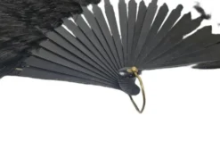 Éventail en plumes Art Déco polonais autrichien, années 1920