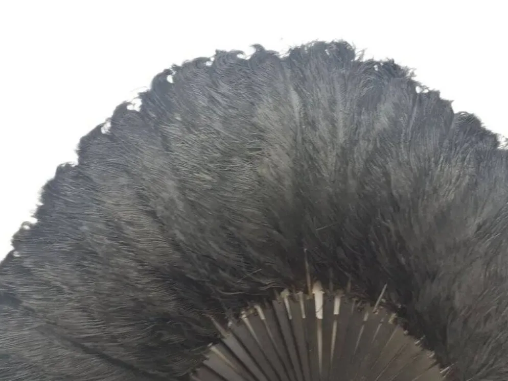 Éventail en plumes Art Déco polonais autrichien, années 1920