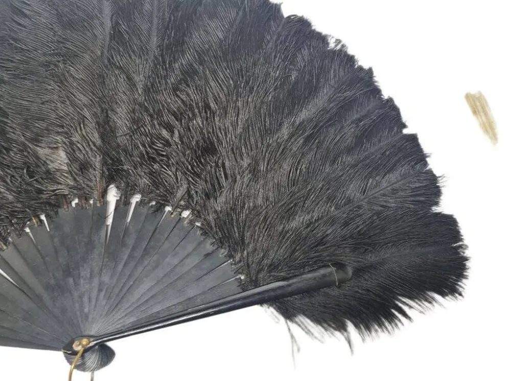 Éventail en plumes Art Déco polonais autrichien, années 1920