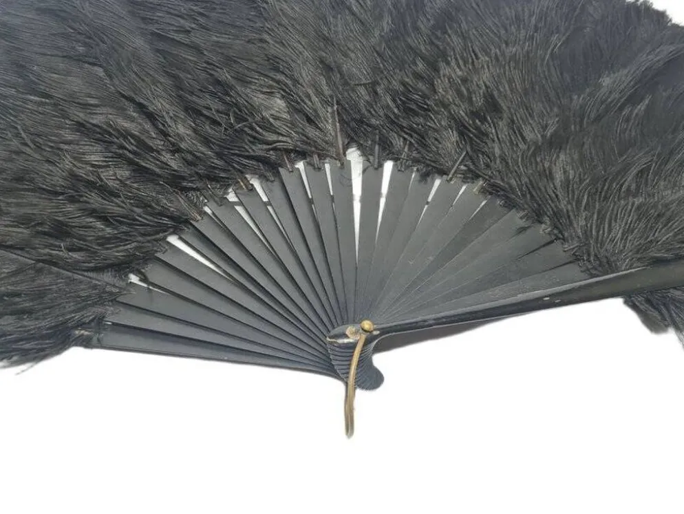 Éventail en plumes Art Déco polonais autrichien, années 1920