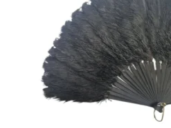 Éventail en plumes Art Déco polonais autrichien, années 1920