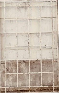 Verrière en fer plat et cornière patinée XX siècle