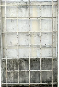 Verrière en fer plat et cornière patinée XX siècle