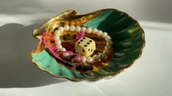 VIDE-Poche Coquillage Limoges FRANCE