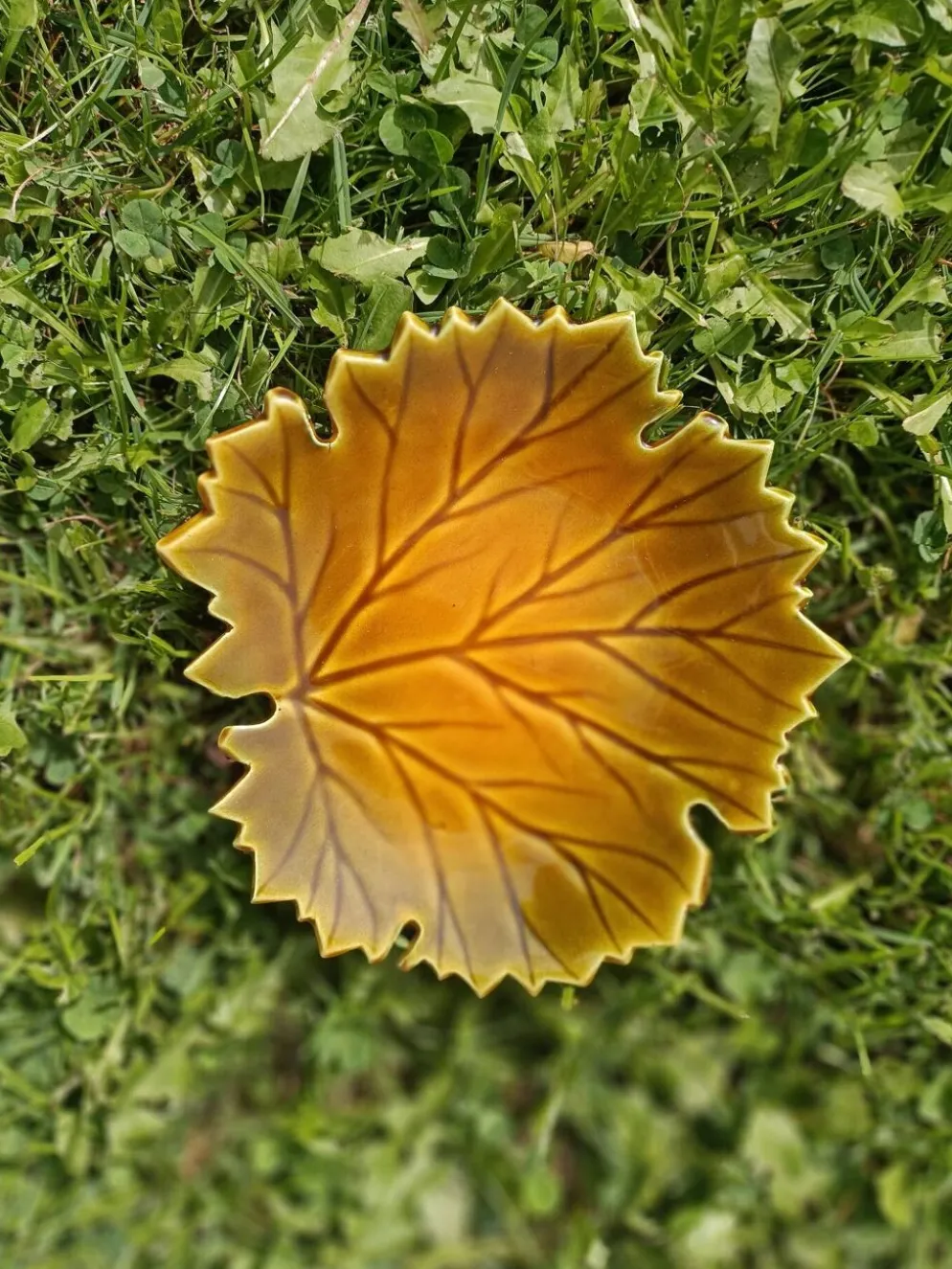 Vide poche Feuille Automne
