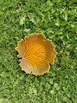 Vide poche Feuille Automne