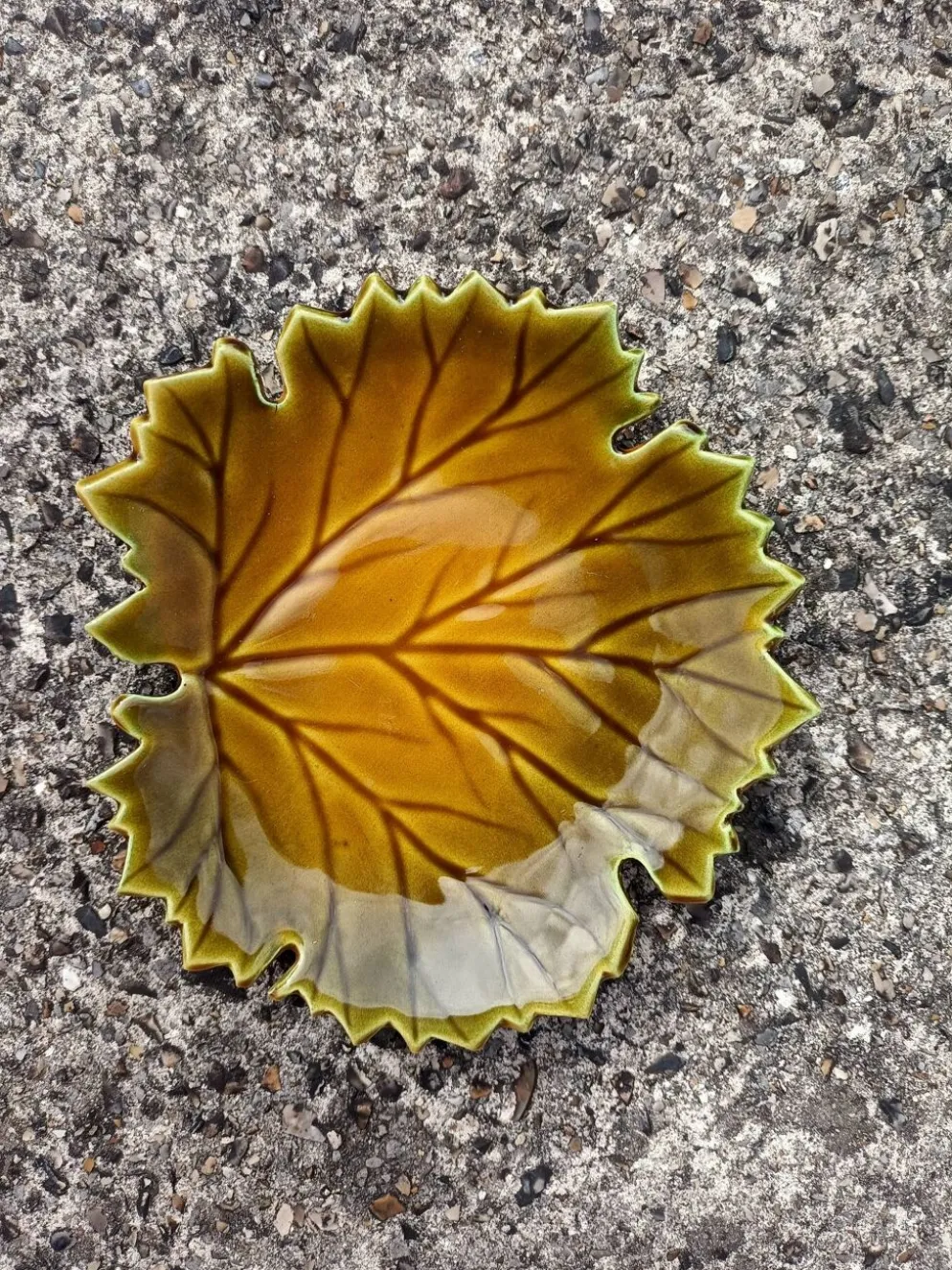 Vide poche Feuille Automne