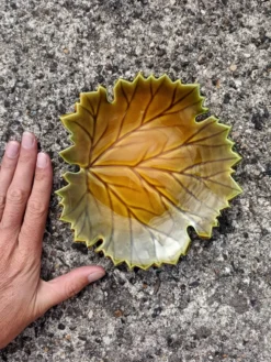 Vide poche Feuille Automne