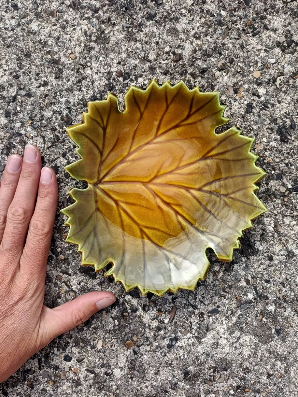 Vide poche Feuille Automne