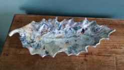 Vide poche feuille émaillage irisé, signé Gfredy