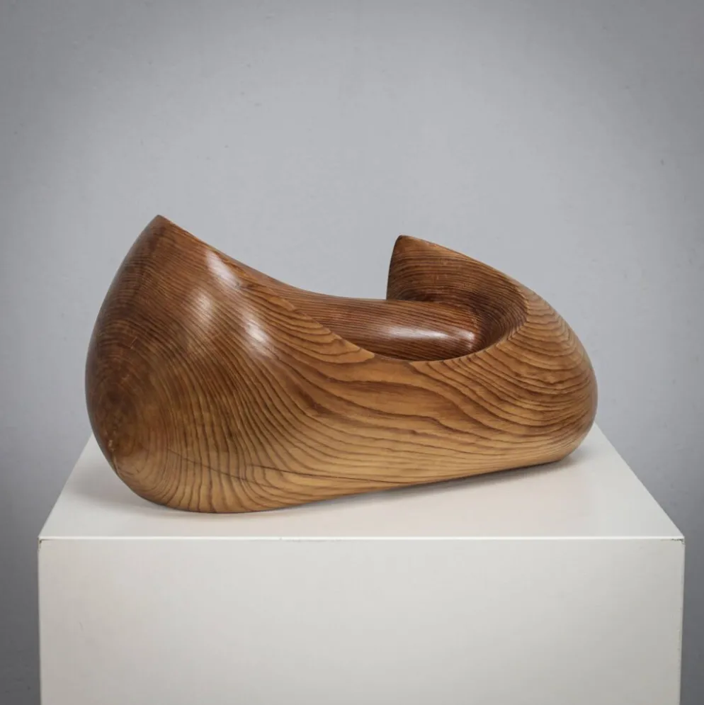 Voler en solo, forme sculpturale organique par Ineke van Zuuren, années 1970.
