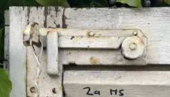 Volets anciens persiennes bois