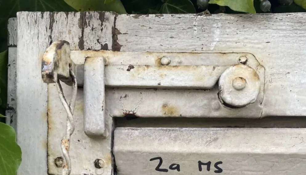 Volets anciens persiennes bois
